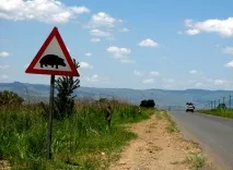 знаци планета