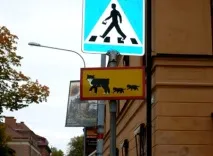 знаци знаци