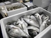 какво норвегия