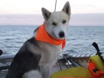 нова земя