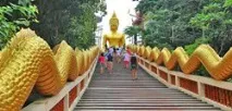 Готель Areca Lodge 3 Паттайя Таїланд lodge