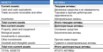 финансовото отчет