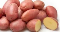 сорта сорта