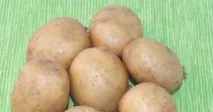 сорта сорта