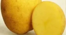 картофи картофи