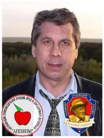 елементи елементи