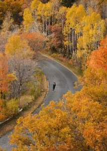 осіннє