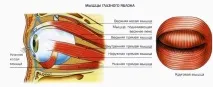 Операція з виправлення косоокості види, опис виправлення