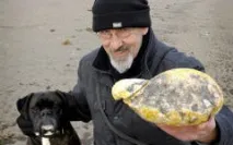 пенсионер британски