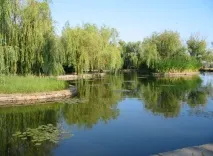 Пансіонат «Енергія» – Арабатська стрілка – Херсонська область – Україна область