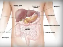 Панкреатит, симптоми, лікування, дієта, народні засоби лікування