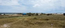 оленевка оленевка