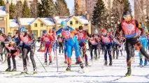 жилище формира