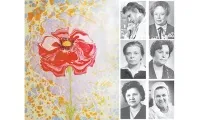 жилище нови