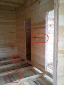 дървото синьо