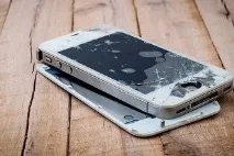 apple apple
