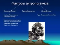 причин