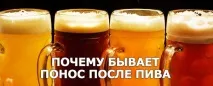 защо защо