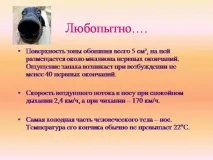мирис вкус