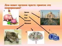 вкус темата