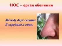 презентация биология