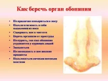 биология презентация