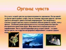 темата вкус