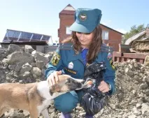 Портал платних послуг єдиної служби порятунку МНС України служби