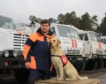 Портал платних послуг єдиної служби порятунку МНС України служби