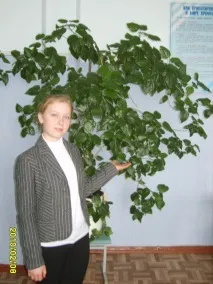участие портфолио