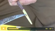 присаждане овощни