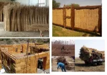 Застосування очерету- Інтернет-додаток журналу - БАЙАНАЙ інтернет-додаток