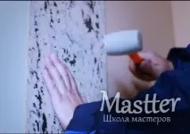 тапет бъдат залепени