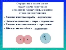 Презентація на тему - Відносини співпідпорядкування, протиріччя та протилежності - з інформатики для співпідпорядкування
