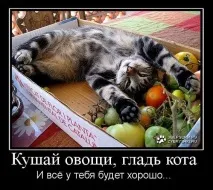 спорт