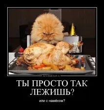 картинки