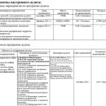 Проведення внутрішнього аудиту порядок, методика, програма, приклад, план, етапи, наказ аудиту