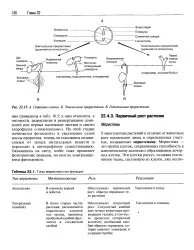 Проросток - Велика Енциклопедія Нафти та Газа, стаття, сторінка 1 газа