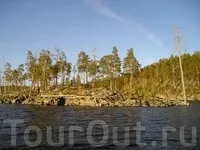 прежди прежди
