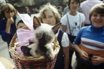 пазарът променя