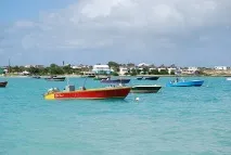 кайманових