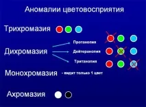 Перевірка зору на сприйняття кольорів з цифрами для водіїв, пройти на дальтонізм кольорів