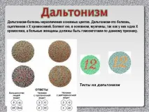Перевірка зору на сприйняття кольорів з цифрами для водіїв, пройти на дальтонізм кольорів
