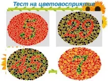 Перевірка зору на сприйняття кольорів з цифрами для водіїв, пройти на дальтонізм кольорів