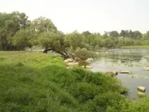 помощната програма