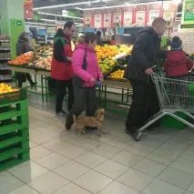 райт верига