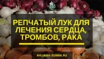 пилешки