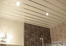 разновидностите багажник