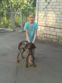 павлович преглед