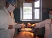 Риновірусна інфекція - лікування та профілактика - Народна медицина - Рецепти народної медицини та риновірусна